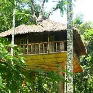 Villa Kalidasa Tree House And, Chegāt